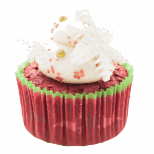 Oatmeal Raisin Classic