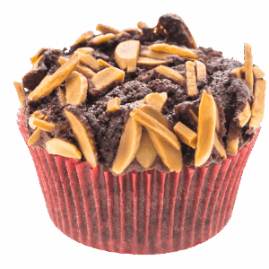 Blueberry Morning Muffin