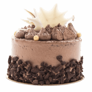 Tropical Pineapple Slice