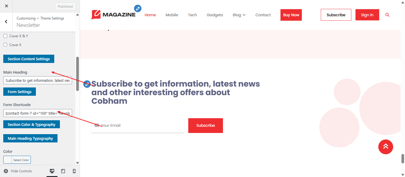 Newsletter form setup screenshot