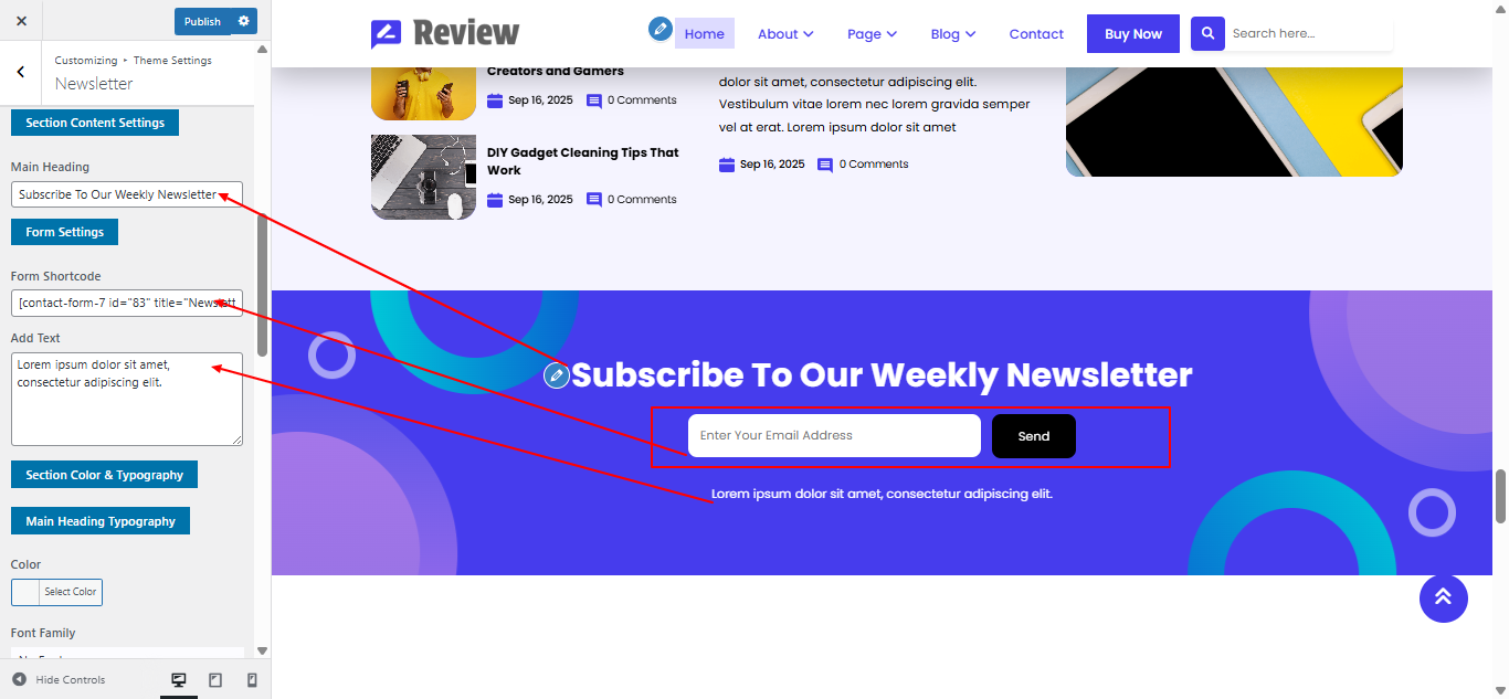 newseltter form setup screenshot