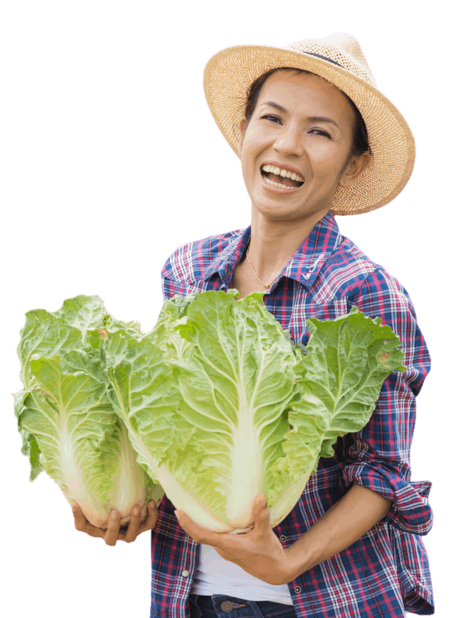 Agriculture Pure Eco Farming