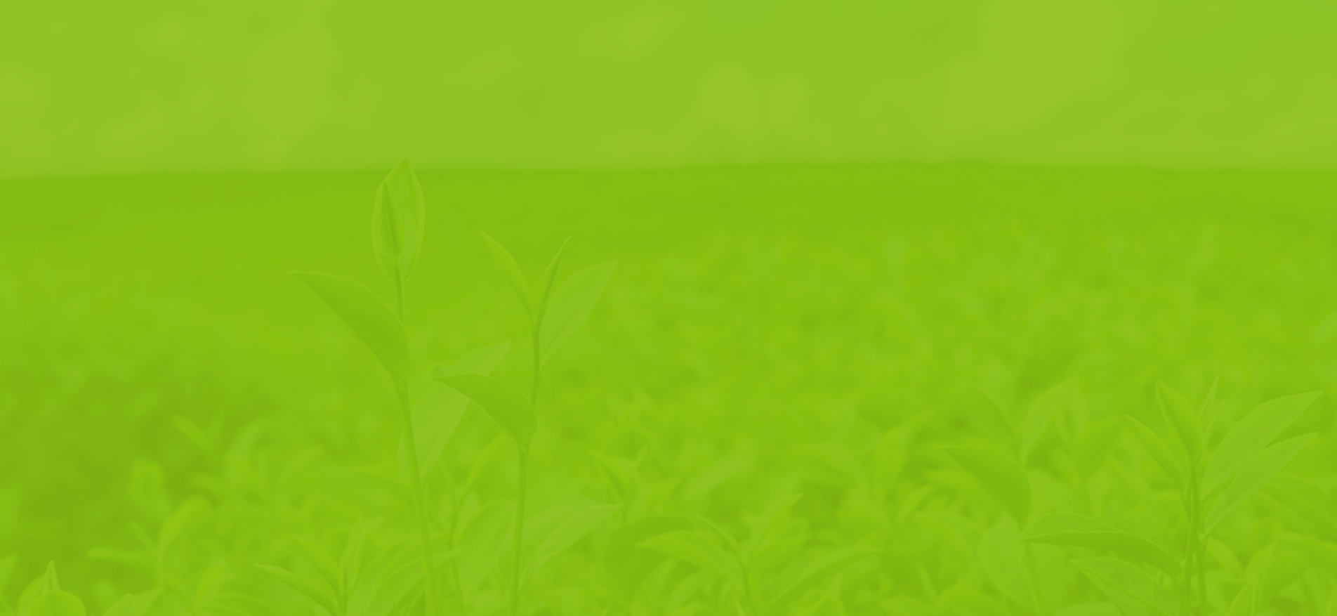 Agriculture Pure Eco Farming