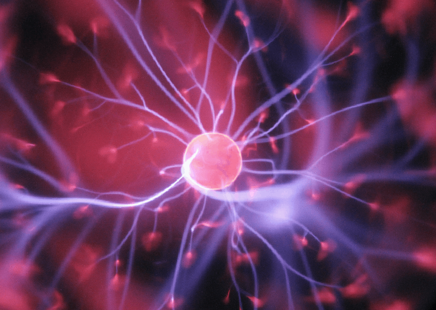 Understanding Financial Markets and Investment Strategies