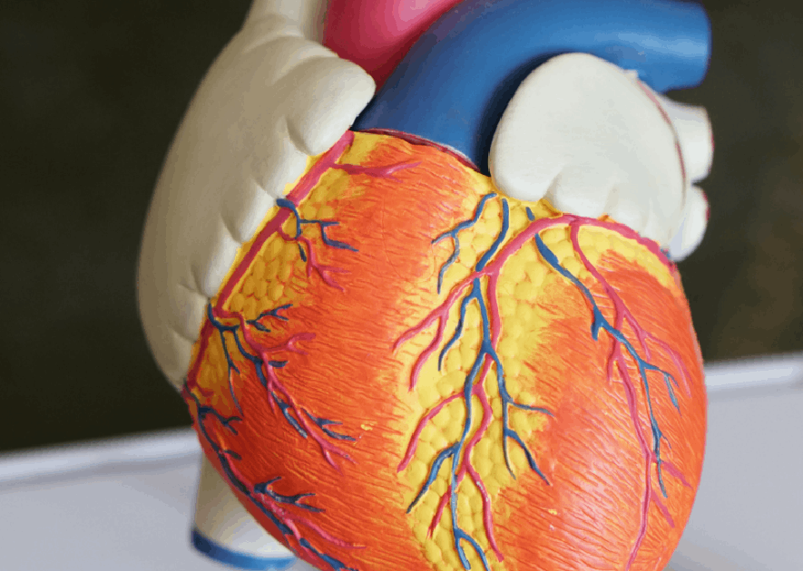 IBM Certified Back-End Development Bootcamp