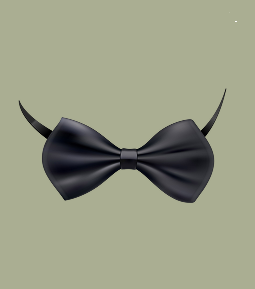 Classic Black Bow Tie